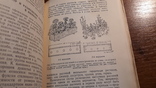 Комнатные и балконные растения 1955 год, фото №7