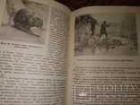 1940 Заповедники СССР . Много фото, фото №7