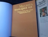 Гордость Малдова 1983 ссср .спец заказ, фото №2