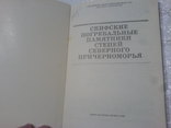 Скифские Погребальные памятники Степей Северного Причерноморья, фото №7