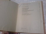 Население столицы позднескифского Царства-лот 2, фото №8