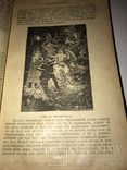 1906 Всемирная Литература. Краткий Систематический Словарь. 2части.., фото №6