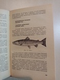 Болезни рыб и основы рыбоводства 1964 г. тираж 5 тыс., numer zdjęcia 7