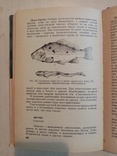 Болезни рыб и основы рыбоводства 1964 г. тираж 5 тыс., numer zdjęcia 9