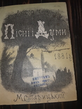 1881 Старицький - Пiснi i думи в 2 частинах, фото №2