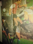 Справочник 800 вопросов и ответов о правилах футбола 1987 г., фото №11