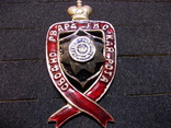 Знак сводно гвардейская рота копия, фото №2