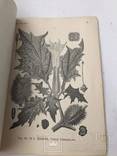 1915 Лекарственные растения. Сбор. Сушка и Разведение. Справочник., фото №8