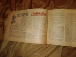 1933 Костер журнал для сельских пионеров Иудаика Агитация, фото №5