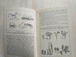 Юхимчук "Комнатное цветоводство" 1985р., фото №10