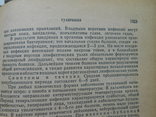 1956 г. Справочник практического врача Том 1 П. Егоров 1071 стр. (105), фото №12