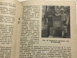 1938 Пчеловодство: За 100 кг мёда и размножение пчелиных семей, фото №8