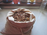 Орехи грецкие  с своего огорода.Урожай 2019 года 2 кг., фото №5