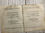 Украинско-Русский словарь собственных имён людей, фото №3