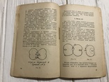 1926 Фигурное катание на коньках: с рисунками, М. Хвостов, фото №7