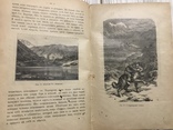 1900 Швейцария , с рисунками, фото №9