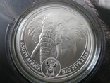 Слон серебряная монета серии "Большая пятерка" Южная Африка 2019г., фото №2