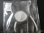 Слон серебряная монета серии "Большая пятерка" Южная Африка 2019г., фото №7