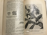 1910 Насекомые Эффектная книга с раскрашенными рисунками, фото №10