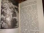 1970 Массандра Путеводитель Виноделие винзавод, фото №6