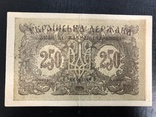 250 карбованців 1918 року XF, фото №2