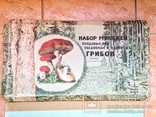 3 коллекции учебные  Шерсть Хлопок Грибы Ф-ка №14 Природа и школа Москва 1981, фото №6