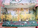 3 коллекции учебные  Шерсть Хлопок Грибы Ф-ка №14 Природа и школа Москва 1981, фото №8