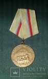 Медаль За оборону Киева. Копия., фото №2