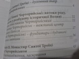 Моностир Святої Троїці під Чорторийськом, фото №3