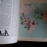 Дитяча енциклопедія "Рослини і тварини" том 4 1962р., фото №8