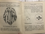 1936 Генетика пола : В. Рыжков, фото №9