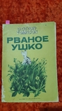 Рваное Ушко (40, фото №2