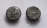 Еоліда, м.Кіми (Кіма), 350-250 до н.е. – орел / скіфос (2), фото №2