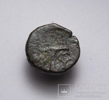 Еоліда, м.Кіми (Кіма), 350-250 до н.е. – орел / скіфос (2), фото №4