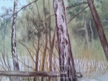 Алек Гросс. В весеннем лесу, х., м., 50х70 см, фото №9