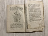 1935 Дикорослі лікарські рослини флори УСРР, фото №13