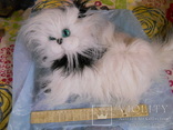 Мягкая игрушка котик, фото №2