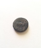 Антична монета - Лань, фото №2