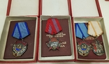 Комплект трудовых орденов и наград с документами на одного ветерана, фото №2
