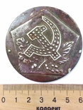 Медальон Серп и молот на листьях в пятиугольнике, фото №4