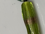 Винтажные зелёные бусы, фото №5