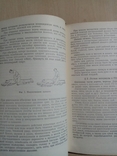 Электрифицированная валка и раскряжевка леса 1954 г. тираж 5 тыс, фото №9