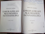 ЕНЦИКЛОПЕДІЯ МИСТЕЦТВА ПОЛТАВЩИНИ(в двох томах), фото №4