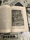 Жизнеописание Наполеона История 1895 года, фото №8