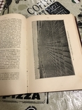 Промышленное плодоводство 1898 год, фото №7