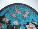 Старинная Тарелка Эмали Клуазоне ( Китай 19 век ), фото №6