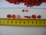 Коралл красный ( 200 грам ), фото №10
