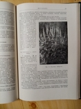 Декоративные растения для крайнего Севера СССР 1958 г. тираж 1700 экз, фото №7