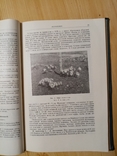 Декоративные растения для крайнего Севера СССР 1958 г. тираж 1700 экз, фото №9