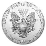 Серебряная монета 1 доллар США 2019 год. Серебро. Тираж 100 экземпляров в Мире., photo number 3
